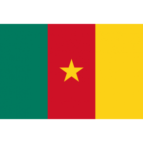 Visum til Cameroun  