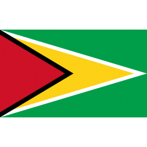 Visum til Guyana.