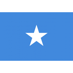 Visum til Somalia.